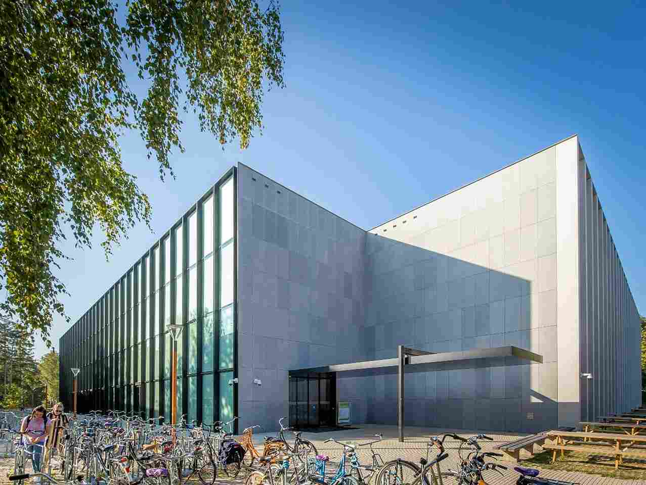 Study in Netherlands for International Students