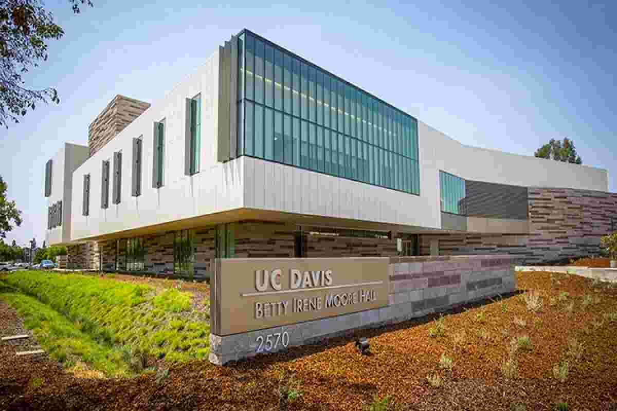 University Image
